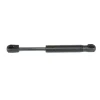 Glove Box Gas Shock (3193)
